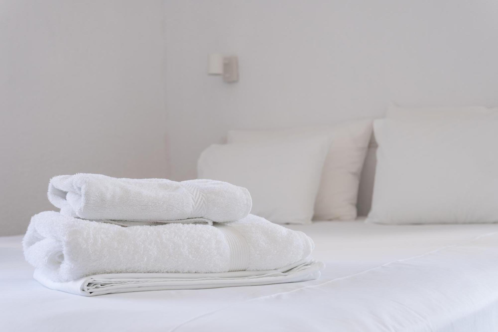 סקופלוס טאון The Botanist Guesthouse מראה חיצוני תמונה