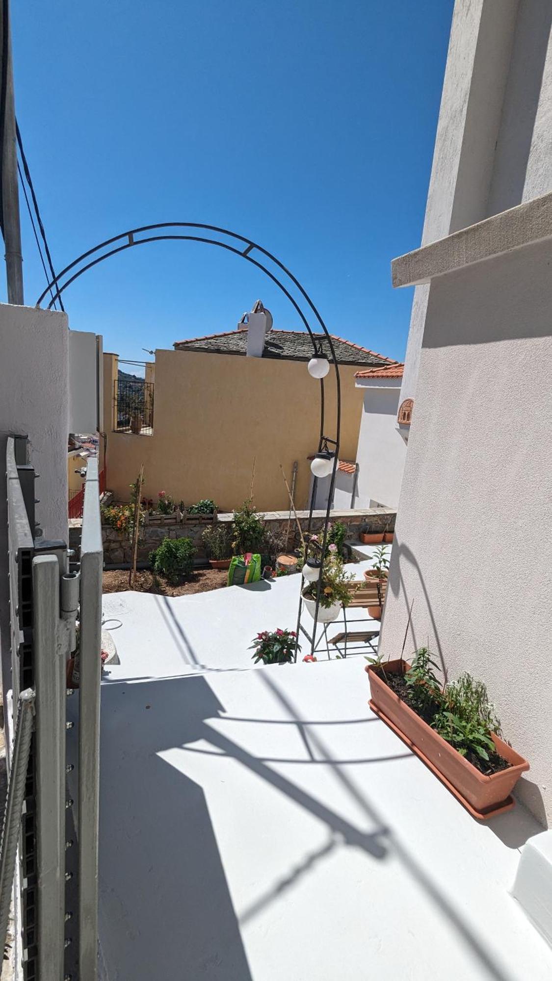 סקופלוס טאון The Botanist Guesthouse מראה חיצוני תמונה