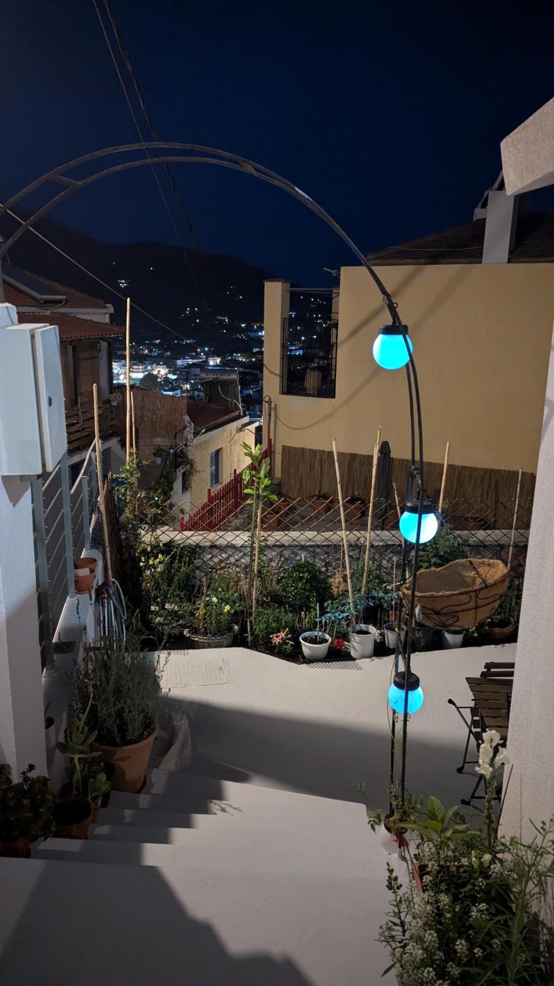 סקופלוס טאון The Botanist Guesthouse מראה חיצוני תמונה
