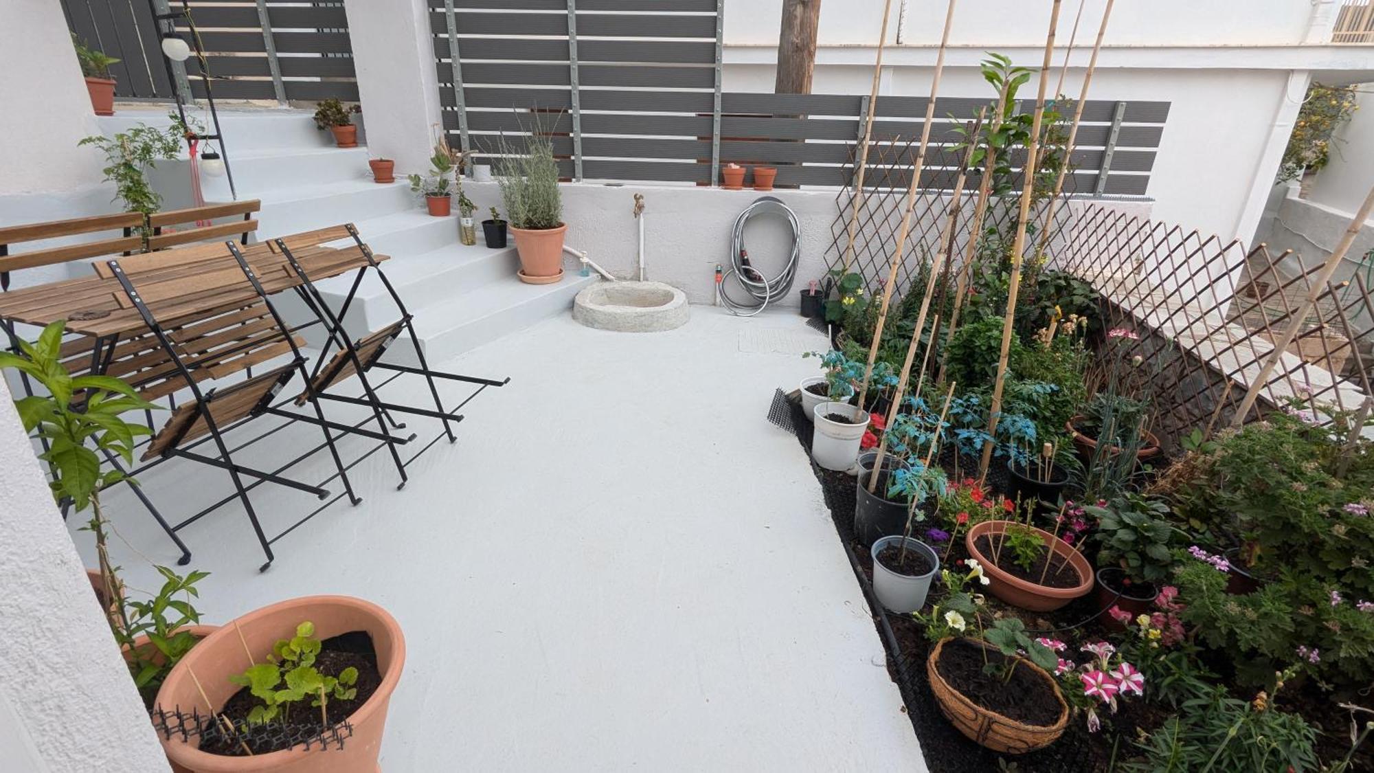 סקופלוס טאון The Botanist Guesthouse מראה חיצוני תמונה