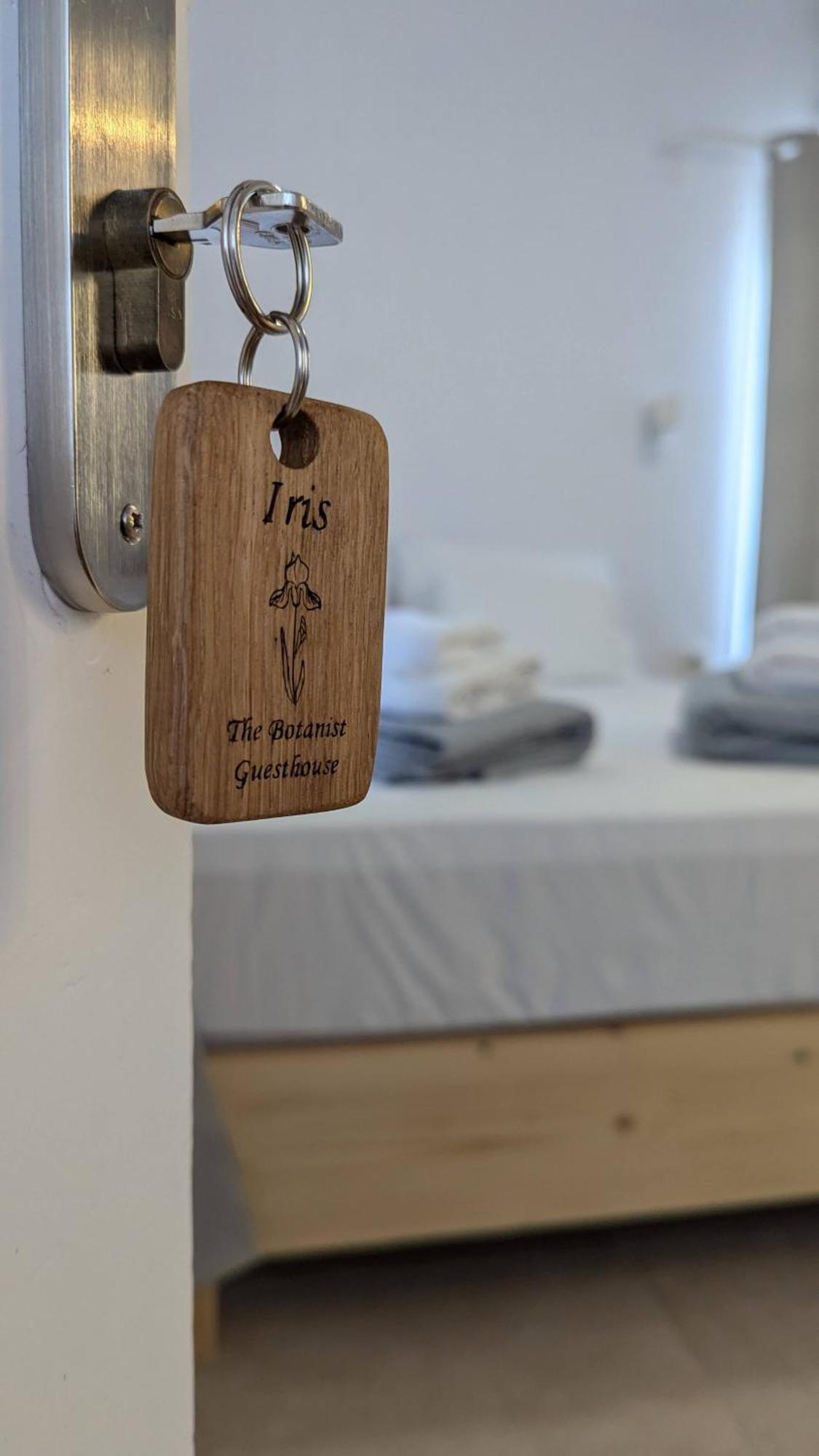 סקופלוס טאון The Botanist Guesthouse מראה חיצוני תמונה